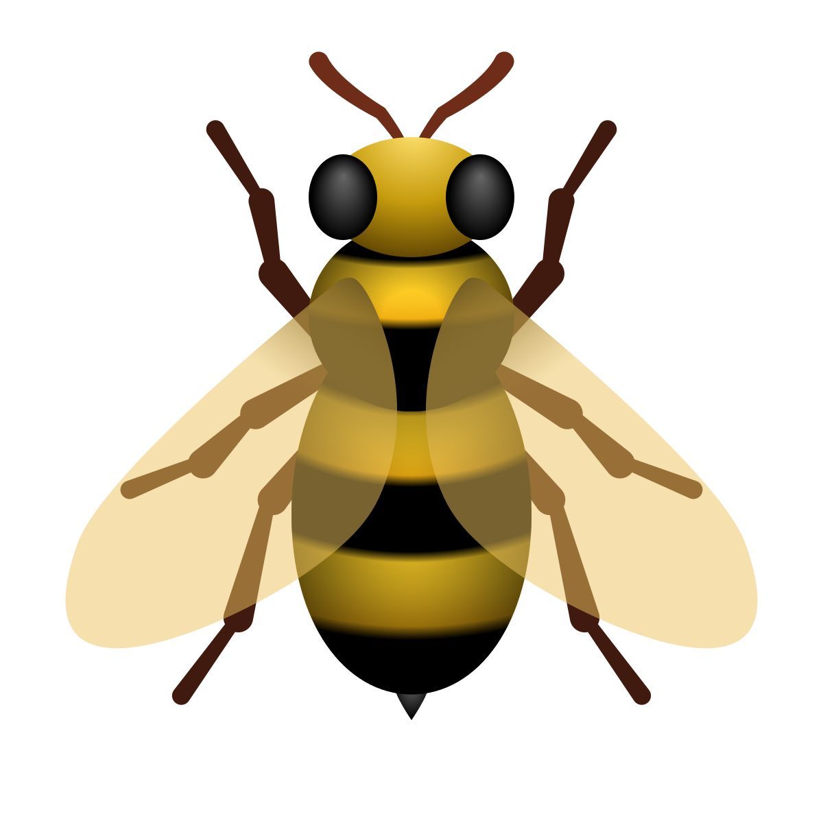 音频集市音符苑
